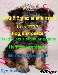 allatvedes_gozerovel.jpg