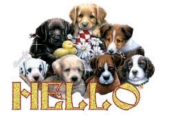 hello.jpg